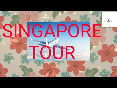 Bangladesh to singapore tour l বাংলাদেশ টু সিঙ্গাপুর /tour of Singapore/travel vlog/ tour vlogs