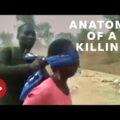 Anatomy of a Killing – BBC News