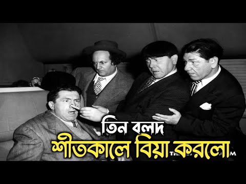 Three Stooges Winter Marriage _ শীতকালে বিয়া করলো তিন বলদ _ Bangla funny video