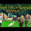 Village life of Bangladesh |  বাংলাদেশের গ্রাম |#villagelife#travelsylhetbd #lifeinbangladesh
