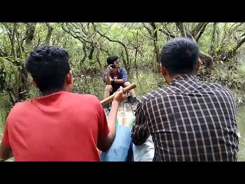 সিলেট রাতারগুল ভ্রমণ || Sylhet Ratargul Travel Bangladesh