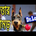 Bangla Funny Dog Videos Try Not To Laugh | Bangla Funny Video | Dr Lony Funny Videos