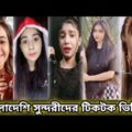 বাংলা ভাইরাল ফানি ভিডিও ২০২১ । Bangla Funny Video । New Funny TikTok Video । Bangla Funny Tiktok