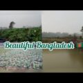 Bangladesh vegetable fields // Bangla background music 🎶 🇧🇩