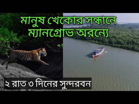 Sundarban Tour || 2 Nights 3 Days Sundarban Tour Package || Sundarban Travel