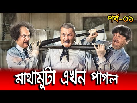 3 Stooges Bangla|Three stooges bangla|Bangla dubbed funny video 2021