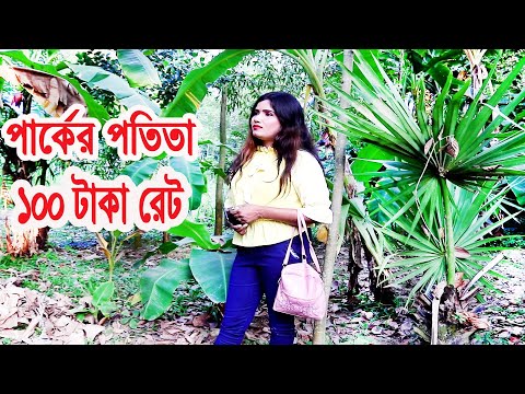100 Taka | Bangla Funny Video 2021 | Raju | Sathi | Faruk | Viral Tv BD