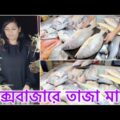 কক্সবাজারে তাজা তাজা মাছের BBQ ডিনার || Bangladesh Vlog