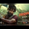 Allu Arjun new south hindi dubbed movies in 2021| Pushpa the rise full movies in 2021 Full HD