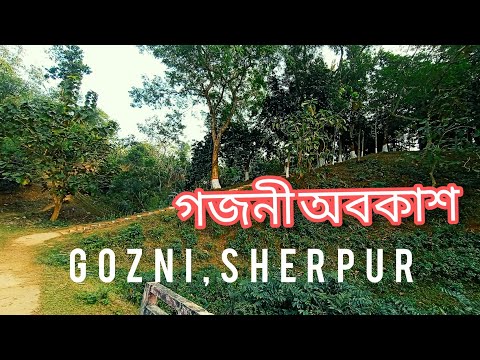 Gojni | Sherpur beautiful  mountain |Bangladesh