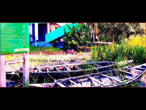 #Sundarban_Tour_2021Vlogs। World Mangrov Forest Sundarban Travels.Bangladesh।। সুন্দরবন ট্রাভেলস