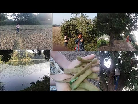 beautiful village life in Bangladesh। village tour। village travel। Tania sultana vlogs।