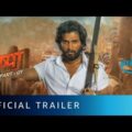 Pushpa Full Movie Hindi Dubbed Release Update | Allu Arjun New Movie | South Movie | Rashmika Mandan