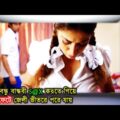 মেয়েটা পেট নিয়ে কত কি না করে | Movie Explained In Bangla | Movie Moja | Bangla Movies ||