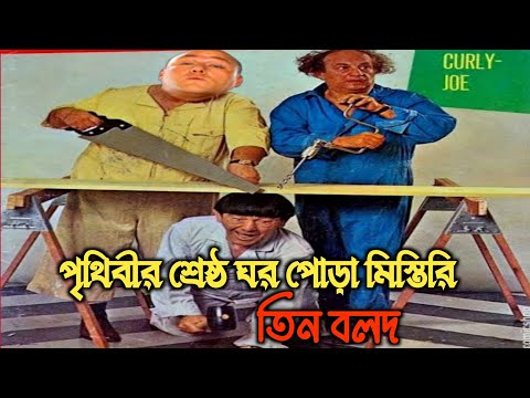 তিন বলদ এখন ঘরপোড়া মিস্তিরি 😂 | Three stooges bangla | Bangla funny video