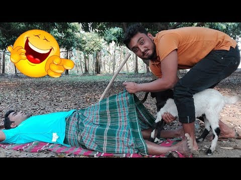 Must Watch New Funny Comedy Video 😂😂 Bangla Funny Village Prank | Funny Tv