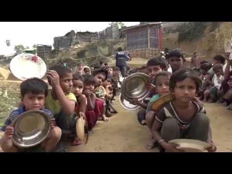 Supporting health of Rohingya in Bangladesh: One year on