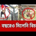 ১১ বছর ধরে ঝুলে আছে ফেলানী হত্যা মামলার বিচার | Felani Murder | Bangla News | Mytv News