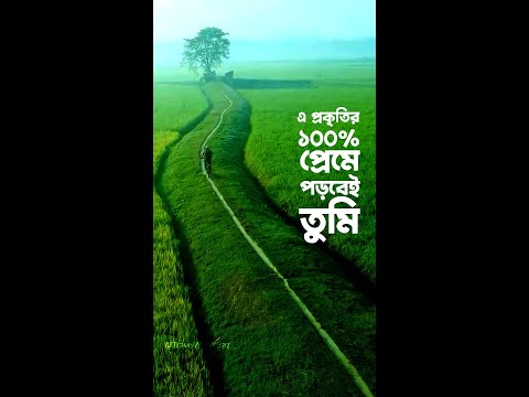 This is the beauty of Bangladesh । Travel With Miraz । Shorts