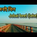 Jobai Beel (lake) | Sapahar | Naogaon | Daily Travel