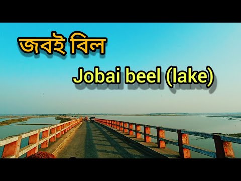 Jobai Beel (lake) | Sapahar | Naogaon | Daily Travel