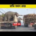 অস্থির প্রাণীকুল😂 | Funny Animals | Bangla Funny Video | Facts Bangla