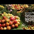 বাংলাদেশের কিছু সুস্বাদু ফল | Bangladeshi Fruit | fruit | F A Food & Travel 🍓