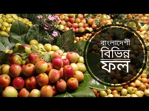 বাংলাদেশের কিছু সুস্বাদু ফল | Bangladeshi Fruit | fruit | F A Food & Travel 🍓