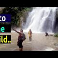 Into the Wild | Beautiful Bangladesh | A Short Travel Vlog