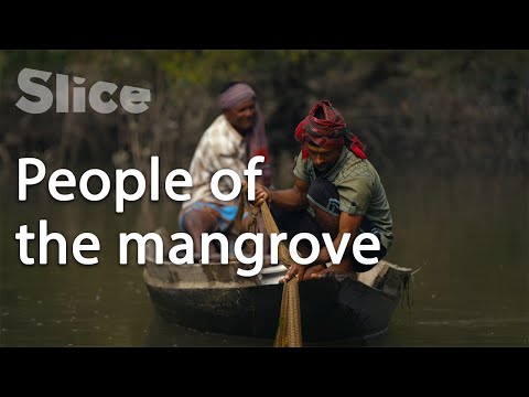 Bangladesh: Living in the Sundarbans | SLICE