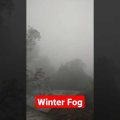 Winter Fog Bangladesh #bangladesh #dhaka #winter #fog #bangladeshi #bangladeshivlogger #travel