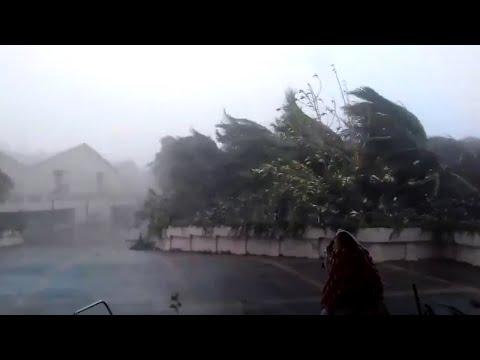 Watch: Furious Cyclone Fani  strikes Odisha, will weaken and move to Bangladesh