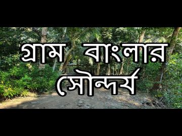 গ্রাম বাংলার সৌন্দর্য আপনাকে অভিভূত করবেই । Bangladesh Traveler Video