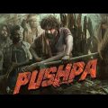pushpa movie full hindi dubbed HD (पुष्पा मूवी हिन्दी में) allu arjun rashmika mandann#pushpamovies