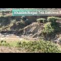 Tea 🍵 Garden Sylhet/Beautiful Bangladesh/Travel video