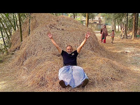 শীতে কুমিল্লা, বাংলাদেশের একটি গ্রাম। Beautiful Village of Cumilla, Bangladesh in The Winter.