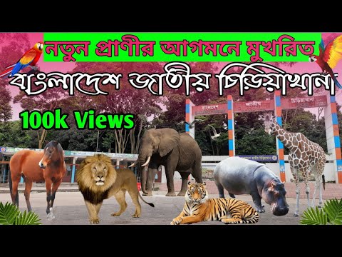 বাংলাদেশ জাতীয় চিড়িয়াখানা মিরপুর // Bangladesh National Zoo // Mirpur, Dhaka, Bangladesh