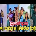 ржкрзБрж╖рзНржкрж╛ рж░рж╛ржЬ | pushpa New Tiktok | Bangla funny TikTok Video (ржкрж░рзНржм-рззрзж) TikTok Official #pushpa