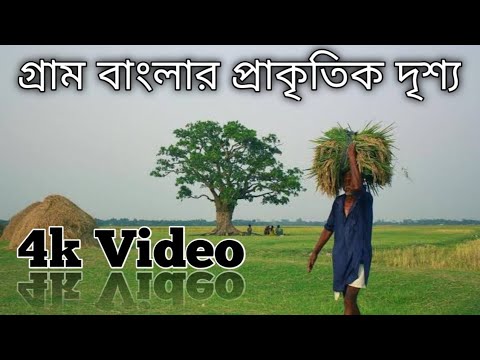 গ্রাম বাংলার প্রাকৃতিক দৃশ্য | Bangladesh pakritik | bangla song | new video | sad music