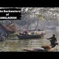 ROAD TRIP in BANGLADESH | Solo Female Traveler | Sundarbans to Barisal