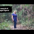 Solo Female Traveler Exploring the Sundarbans | Bangladesh  2020 | Searching for Tigers