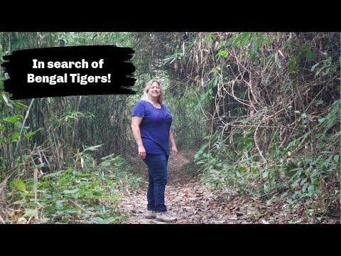 Solo Female Traveler Exploring the Sundarbans | Bangladesh  2020 | Searching for Tigers