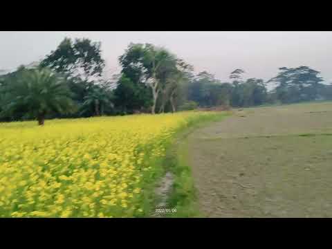 Travel Bangladesh | Asif Ahmed | Insurance | Life Insurance | Shirkhara Travel | University Usa