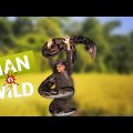 Man Vs Wild 🐔| New comedy video | Bangla funny video | Best comedy video 2021