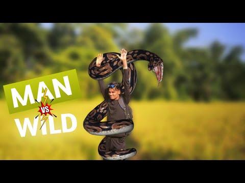 Man Vs Wild 🐔| New comedy video | Bangla funny video | Best comedy video 2021