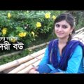 Sundori Bou | সুন্দরী বউ | Niloy Alomgir | Anika Kobir Shokh | Bangla Natok 2021