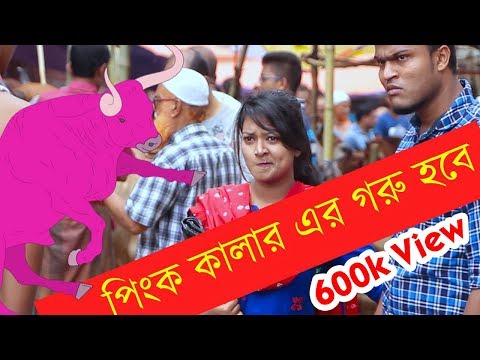 পিংক কালার এর গরু হবে ?  | Bangla New Funny Video | Bangla Fun | Mojar Tv