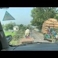 Riding through villages in Bangladesh. Road to Jamalpur, Mymensingh