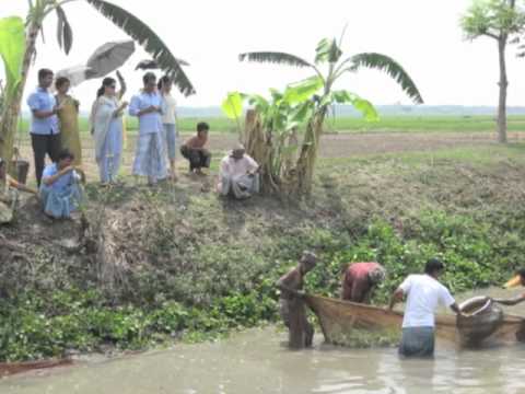 Bangladesh Village – Going to Hazipur, Magura 2011