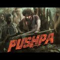 pushpa full movie in hindi dubbed || Allu Arjun new movie pushpa.